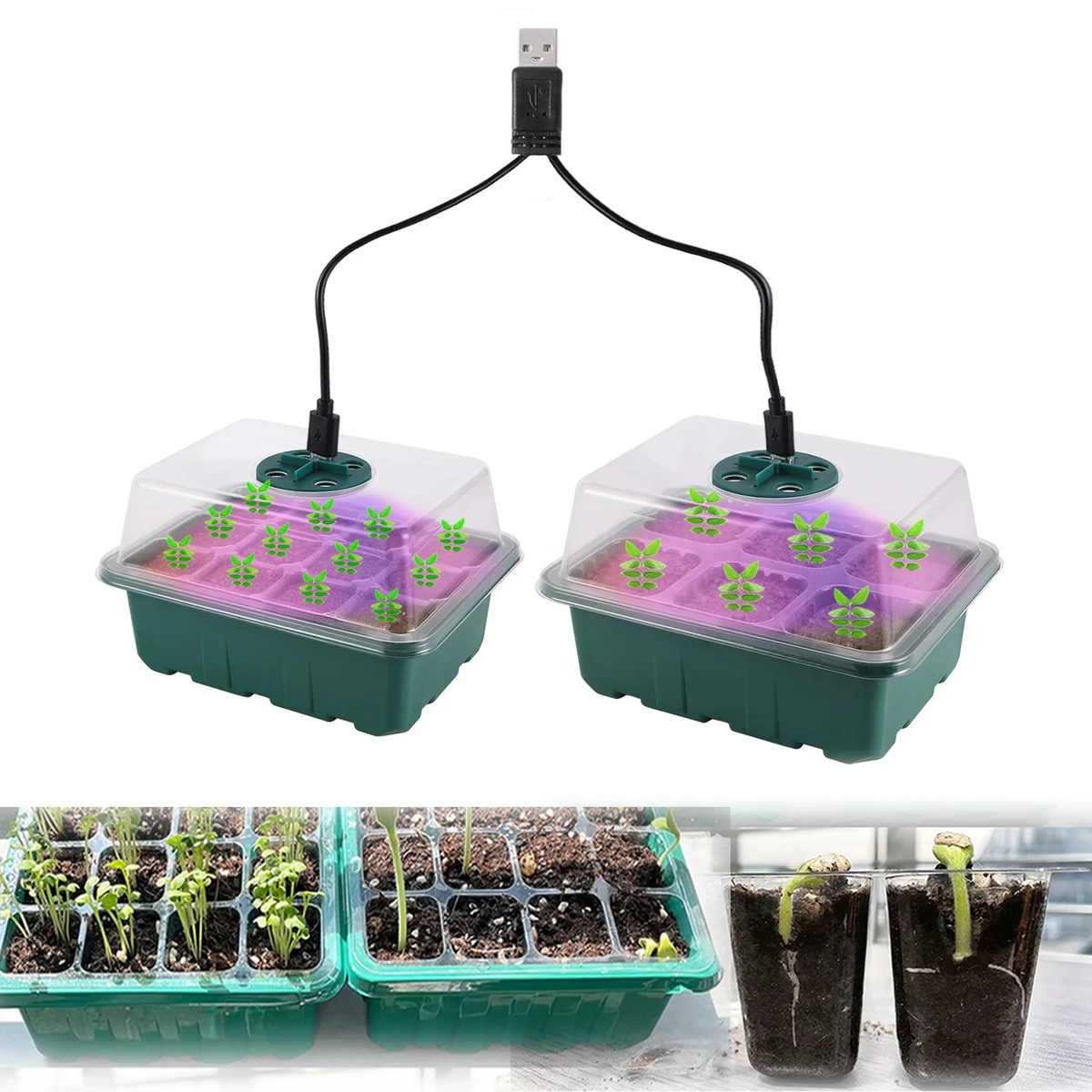 Seed Starter Tray with LED and Humidity Control Seed Starter Tray with LED and Humidity Control