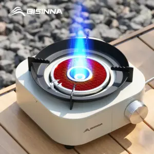 BISINNA 4000W stove on AliExpress