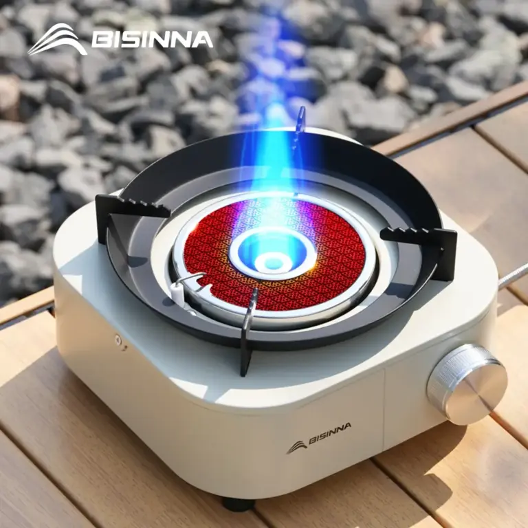 BISINNA 4000W stove on AliExpress